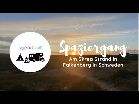 Spaziergang am Skrea Strand in Falkenberg in Schweden🇸🇪 #sweden #beach #momacamp #spaziergang #ocean