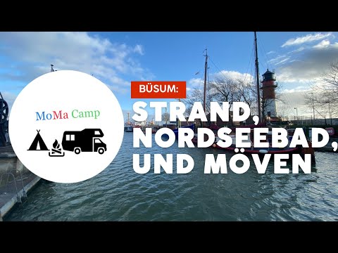 Strand, Nordsee und Möven I Büsum #nordsee #büsum