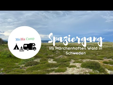 Spaziergang im Märchenhaften Wald in Schweden🇸🇪 #sweden #walking #nature #momacamp